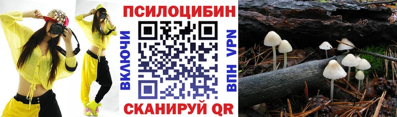 Купить где  Зуевка  Галлюциногенные грибы ЛСД 